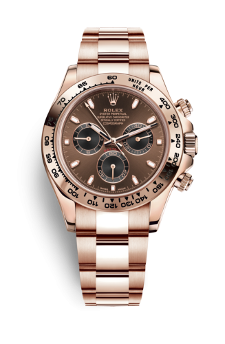 Rolex Cosmograph Daytona Everose / Chocolate : Ref Number 116505-0013