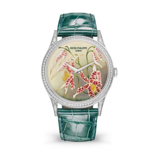 Patek Philippe Calatrava 5077 White Gold / Diamond / Orchids : Ref Number 5077/100G-032