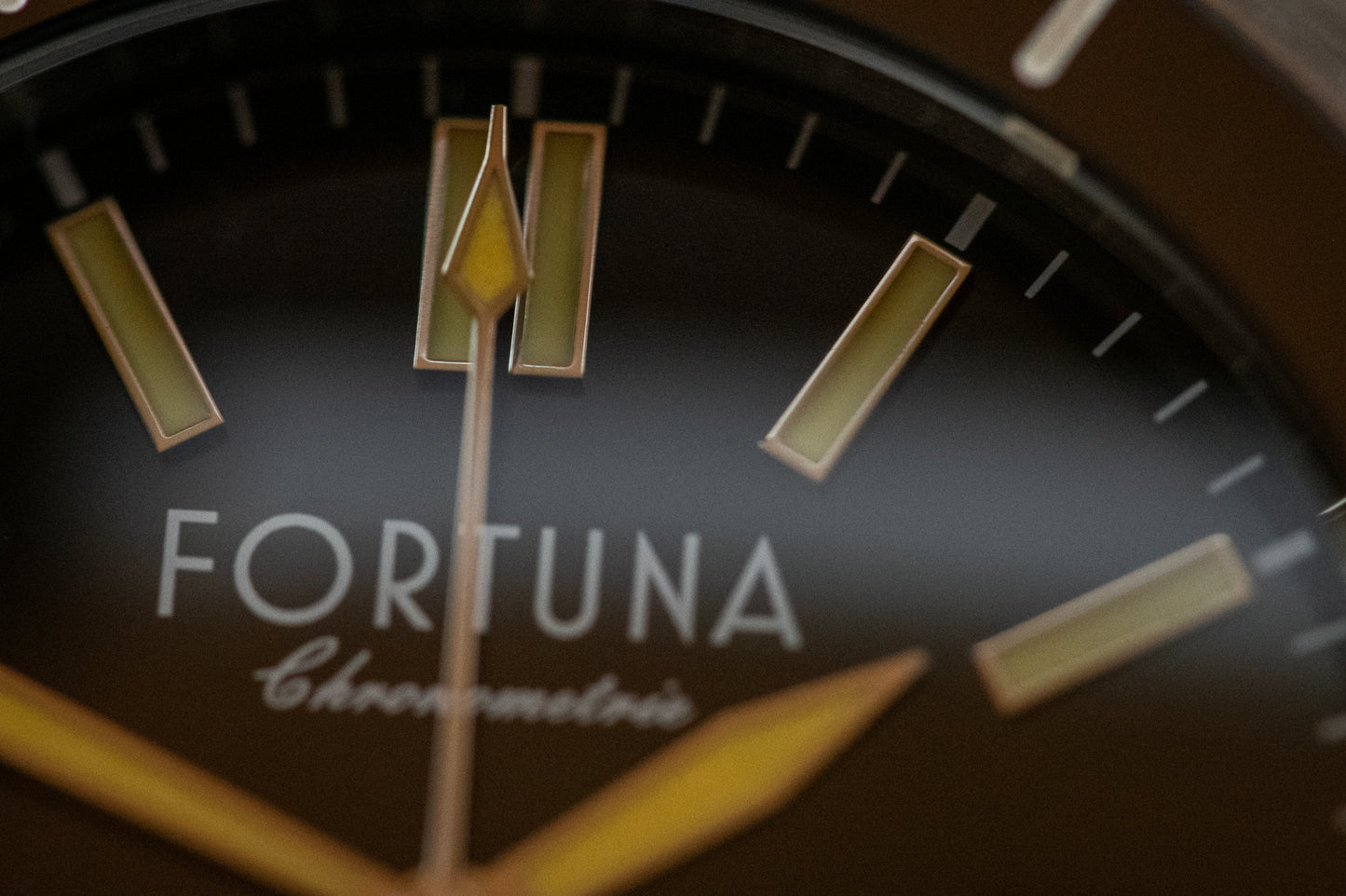 Fortuna Born to Dive Stainless Automatic Wristwatch 42.5MM