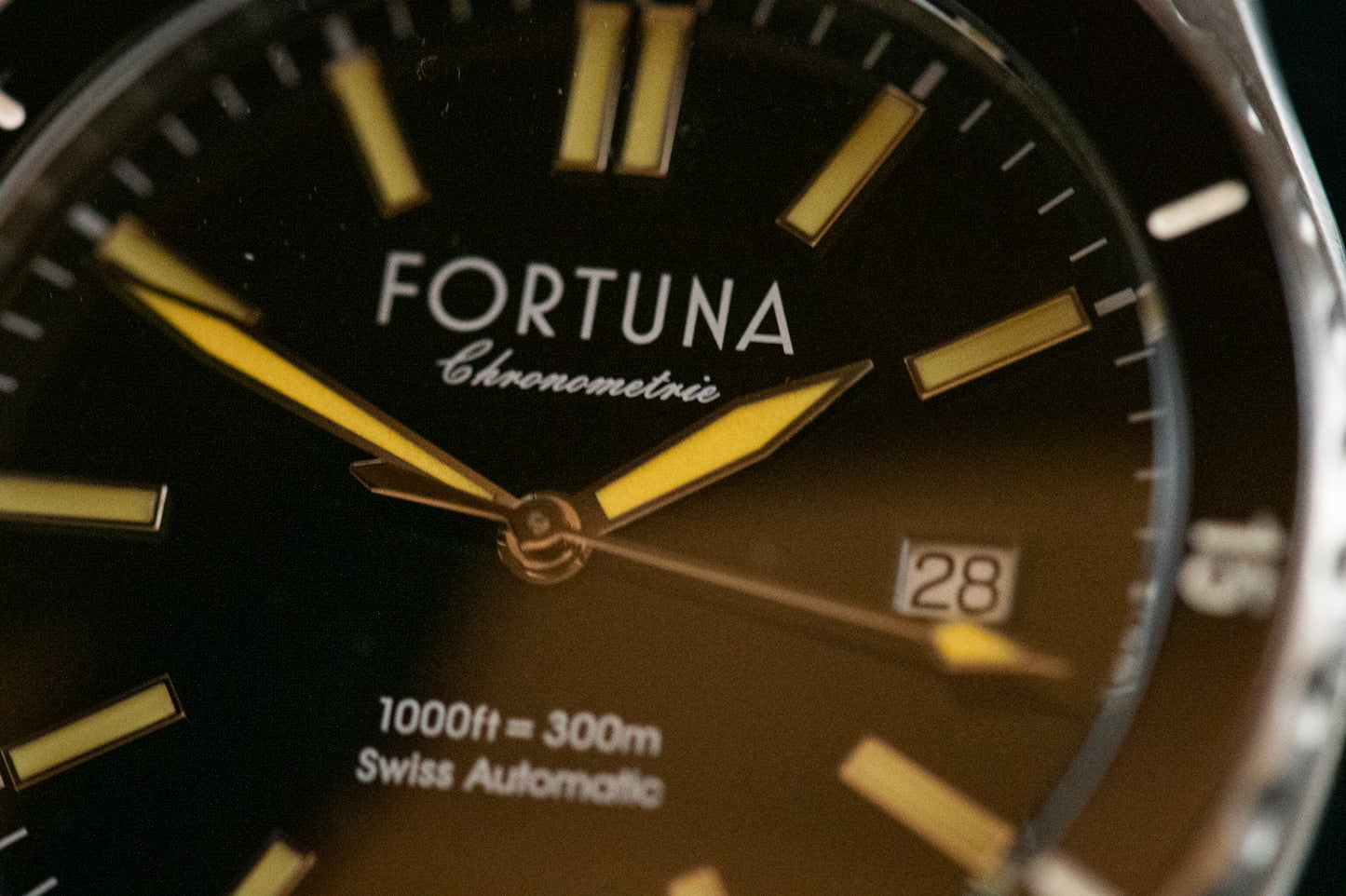 Fortuna Born to Dive Stainless Automatic Wristwatch 42.5MM